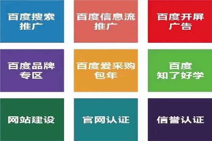 谷歌竞价优化：实战案例分析及策略